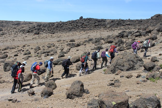 Kilimanjaro Lemosho Route 7 Days - Day 1: Londrossi Gate to the first camp