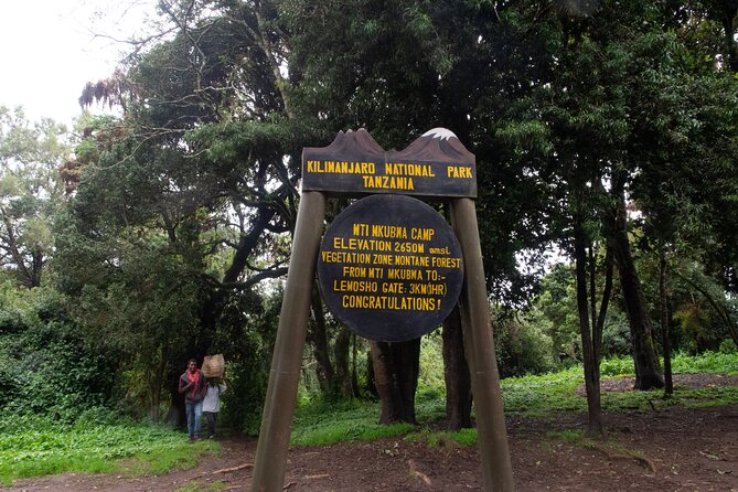 Kilimanjaro Lemosho Route 7 Days - Day 4: Lava Tower and the Barranco Valley