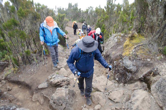 Kilimanjaro Lemosho Route 7 Days - Day 6: Barafu, Stella Point, and Uhuru Peak