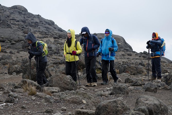 Kilimanjaro Lemosho Route 8 Days - Day 3: Shark’s Tooth and the high desert
