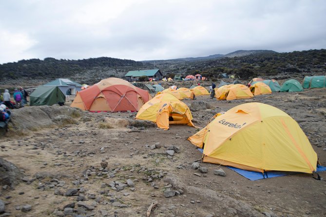 Kilimanjaro Lemosho Route 8 Days - Day 5: scrambling up the Great Barranco Wall