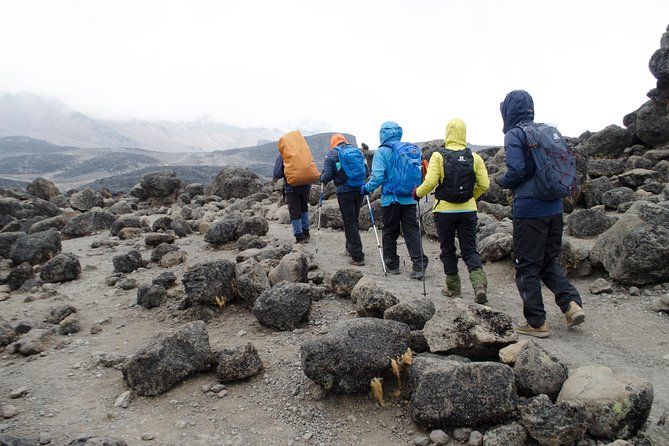 Kilimanjaro Lemosho Route 8 Days - Day 6: Stella Point, Uhuru Peak, and the longest day
