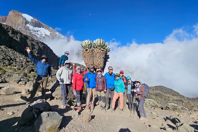 Kilimanjaro Lemosho Route 8 Days - Day 7: descending through Mweka forest