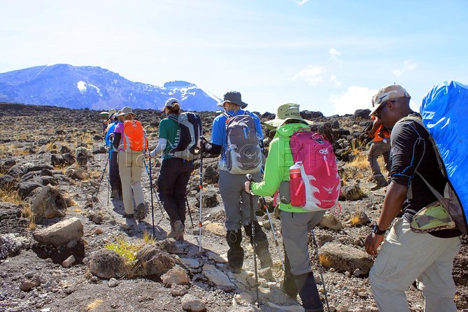 Kilimanjaro-lemosho Route 8 Days Itinerary - Day 4: Shira Cathedral and Shira Hut