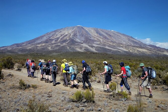 Kilimanjaro-lemosho Route 8 Days Itinerary - Day 6: The Barranco Wall and Karanga Camp