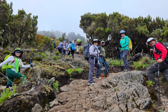 Kilimanjaro Lemosho Route 8 Days - Day 1: Londorossi Gate to Mti Mkubwa Camp