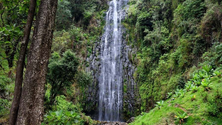 Kilimanjaro: Maasai Village Visit, Waterfalls, & Coffee Tour - Should you book the Materuni and Maasai day?