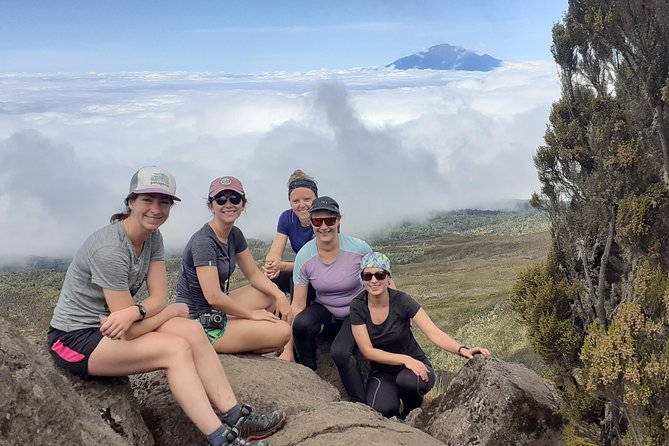 KILIMANJARO MACHAME ROUTE, (Climb 7days) - Day 6: Forest descent and return to Arusha