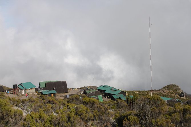 Kilimanjaro Marangu Route 6 Days - Day 5: Gillman’s Point, Uhuru Peak, and the long return