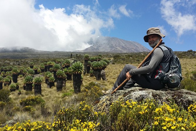 Kilimanjaro Marangu Route Day Tour - From Moshi to Marangu Gate at 8:30 a.m.