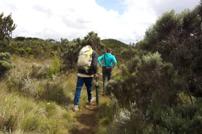 Kilimanjaro National Park Day Trip - Reaching Mandara Hut at 2,700 meters