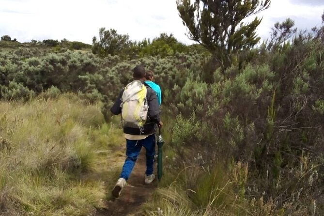 Kilimanjaro National Park Day Trip - Adding the Maundi Crater side trip
