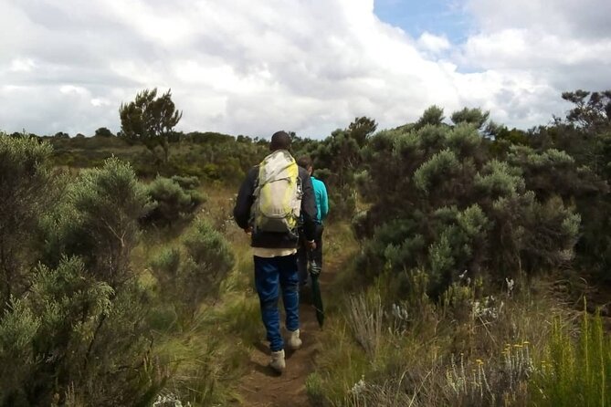Kilimanjaro National Park Day Trip - The descent and the long return to Arusha