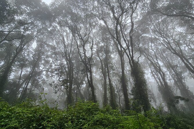 Kilimanjaro Northern Circuit Route 8 Days - Why the Northern Circuit is worth eight days