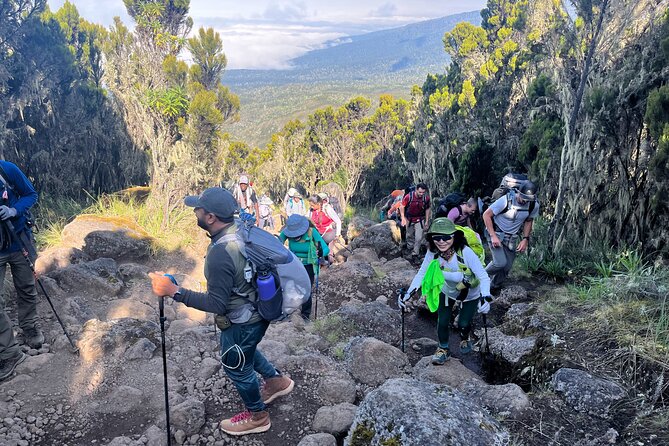 Kilimanjaro Northern Circuit Route 8 Days - Day 6: The steep climb to School Hut