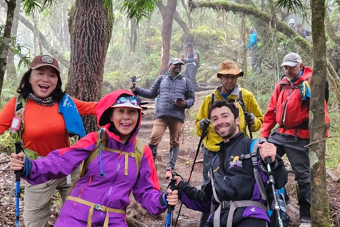 Kilimanjaro Northern Circuit Route 8 Days - Day 2: The Shira Plateau at a patient pace