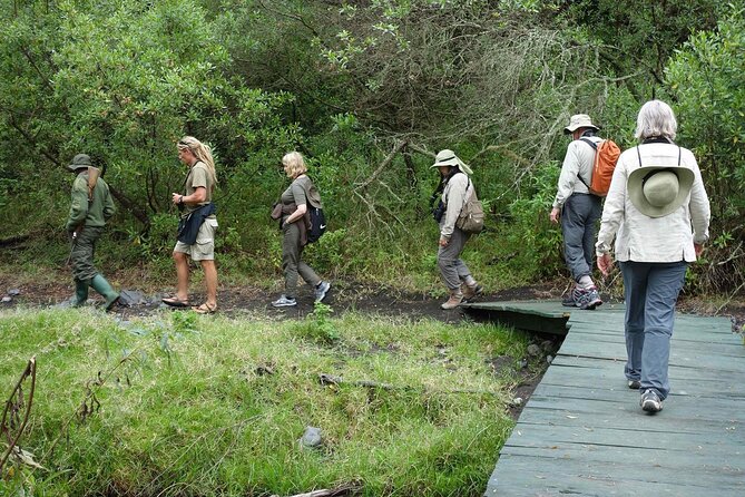 Kilimanjaro Private 2 Days Hiking Tour - What this two-day Kilimanjaro hike really offers