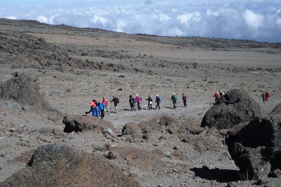 Kilimanjaro: Shira plateau to Cathedral point 3872m Day hike - Cathedral Point and the ancient caldera