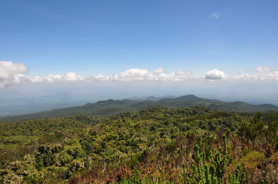 Kilimanjaro: Shira plateau to Cathedral point 3872m Day hike - Who should book this Kilimanjaro day hike?