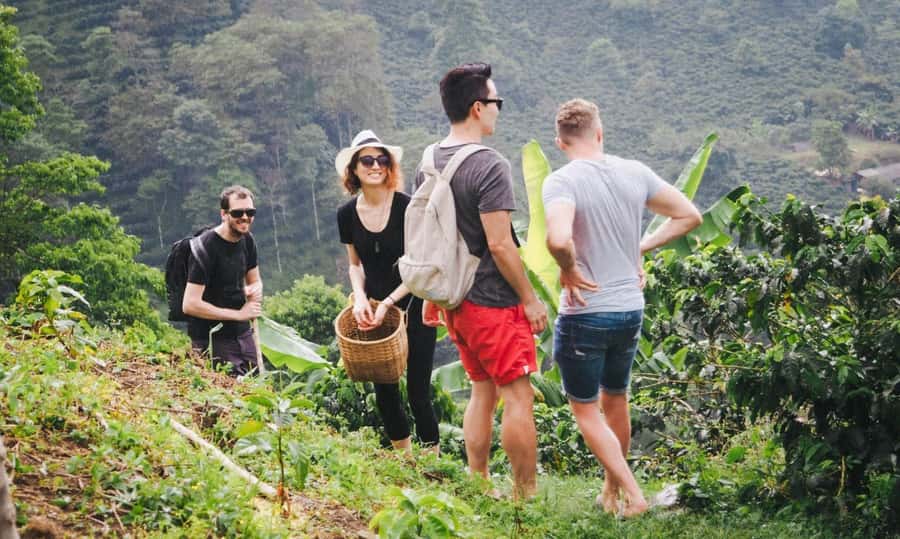 Kilimanjaro: Village Walk, Coffee Tour, Waterfall, and Lunch - Key points at a glance