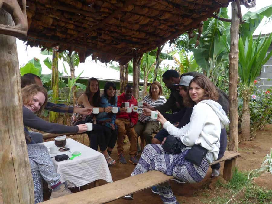 Kilimanjaro: Village Walk, Coffee Tour, Waterfall, and Lunch - Who should choose this day in Materuni