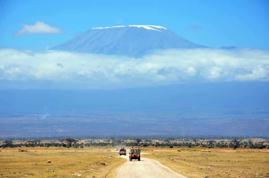 Kilimanjaro: Village Walk, Coffee Tour, Waterfall, and Lunch - A Chagga lunch made with local produce