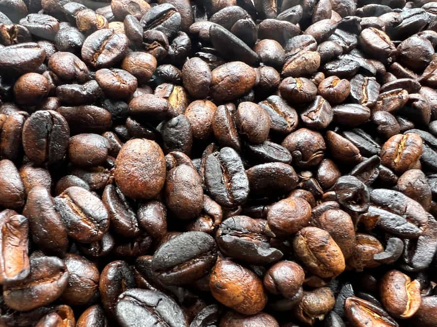 Kilimanjaro: Village Walk, Coffee Tour, Waterfall, and Lunch - What the private format and $87 price really mean