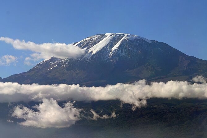 Kilimanjaro Waterfalls Hike & Moshi Hot Springs Day Trip Tour - Why the private format matters