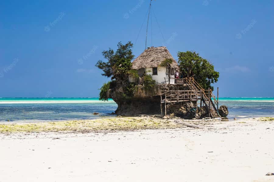 Kiwengwa/Zanzibar: Mnemba, Kuza Cave & Jozani Forest Tour - Kuza Cave, a short stop with a cultural angle