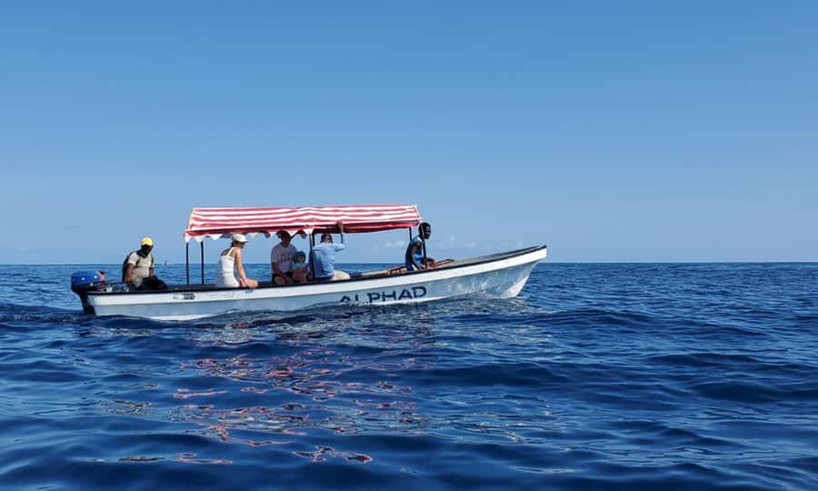 Kiwengwa/Zanzibar: Mnemba, Kuza Cave & Jozani Forest Tour - Paje Beach and the calm side of the coast