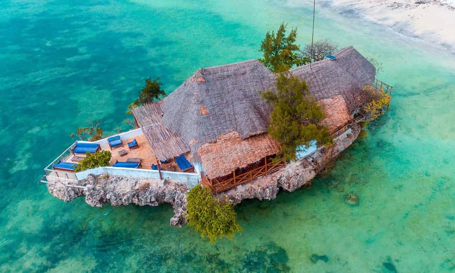 Kiwengwa/Zanzibar: Mnemba, Kuza Cave & Jozani Forest Tour - Searching for dolphins near Mnemba