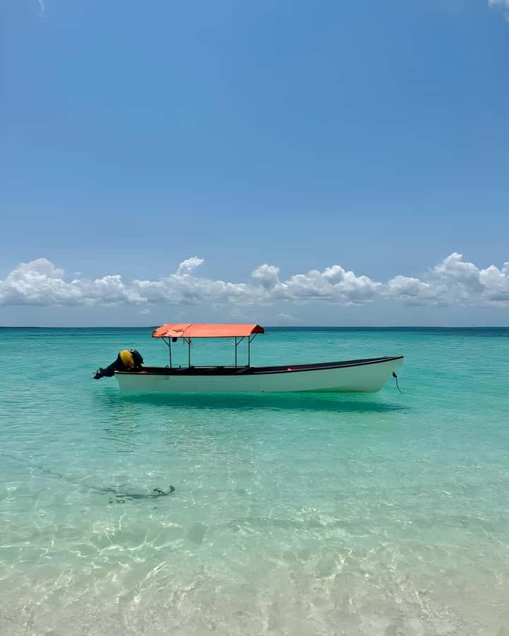 Kizimkazi: Pungume Island Snorkeling & Sandbank Tour - Who should book this Pungume outing
