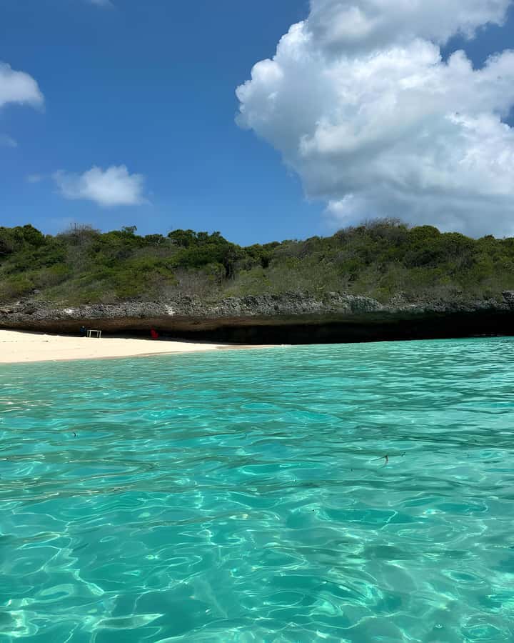 Kizimkazi: Pungume Island Snorkeling & Sandbank Tour - What to pack for the six to seven hours
