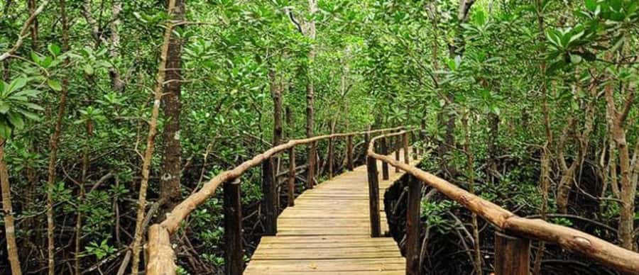 Kuza Cave, Hidden Mtende Beach & The Rock Restaurant - How to prepare for the cave, coast, and restaurant
