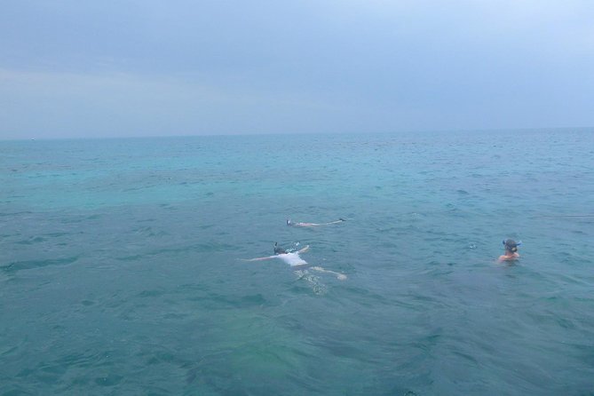 Kwale Island Dhow Sailing Tour from Zanzibar with Seafood Lunch - Snorkeling and swimming at Fumba’s Blue Lagoon
