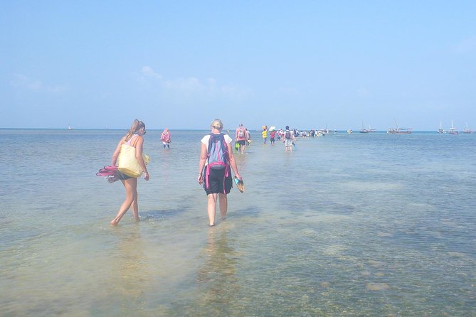 Kwale Island Dhow Sailing Tour from Zanzibar with Seafood Lunch - The Menai Bay sandbank and the importance of the tide