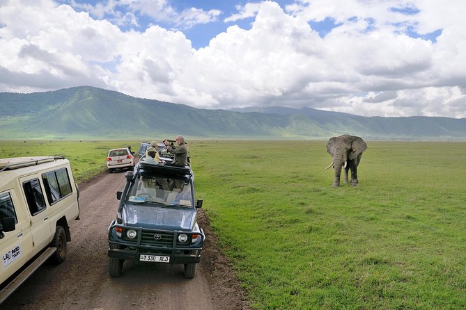 Lake Manyara National Park Full-Day Tour from Arusha - Leaving Arusha at 7:00 am