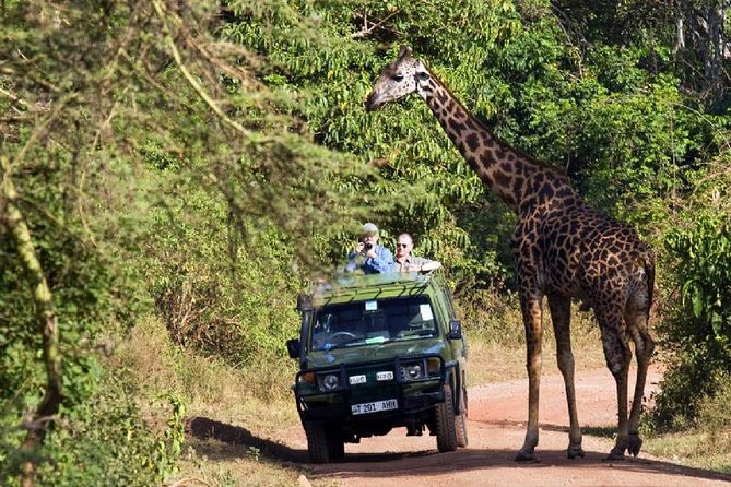 Lake Manyara National Park Full-Day Tour from Arusha - What the Private Format Adds