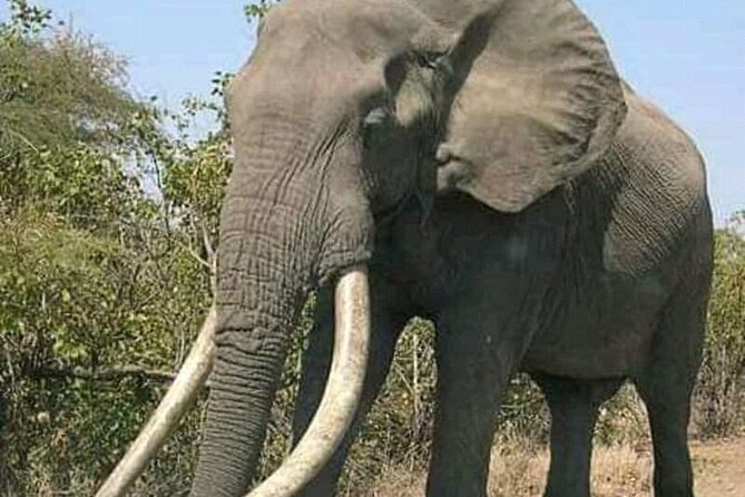 Latest Updates On The Top Best 3 day Serengeti Migration Safari - The open-roof vehicle and group size