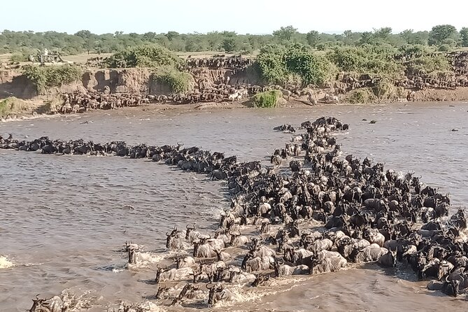 Latest Updates On The Top Best 3 day Serengeti Migration Safari - Day 1: Arusha to the Serengeti