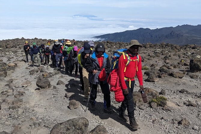 Lemosho Route 7 Days Trekking at Mount Kilimanjaro - Day 6: Uhuru Peak, Barafu, and the long descent