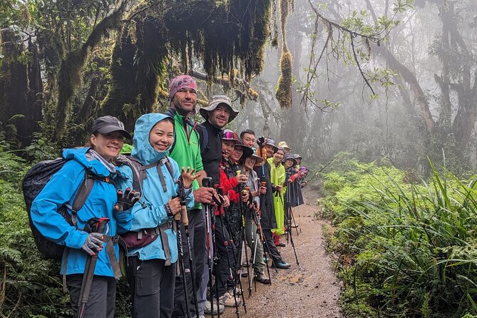 Lemosho Route 7 Days Trekking at Mount Kilimanjaro - Day 1: Arusha to Big Tree Camp through the rainforest