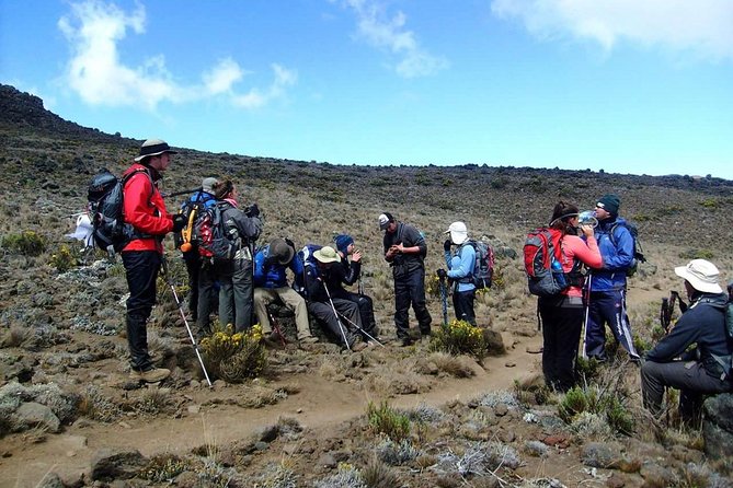 Lemosho Route 8 Days 7 Nights/Kilimanjaro Climb - Day 3: Shira Plateau and Lent Hills for acclimatization