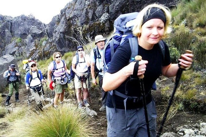 Lemosho Route 8 Days 7 Nights/Kilimanjaro Climb - Day 2: Leaving the trees for Shira Plateau