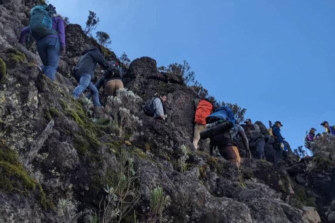 Lemosho Route 8 Days Kilimanjaro Climbing Tour - Day 5: The Barranco Wall and Karanga Camp