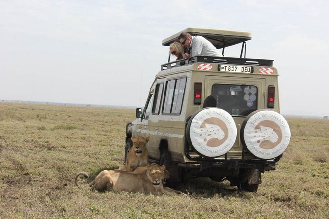 Living Among Lions - Key points at a glance