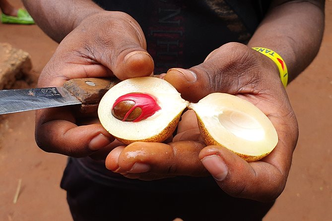 Luxury Spice Tour With Lunch - Leaving Stone Town for Jambo Spice Farm