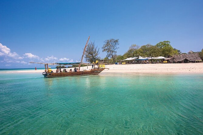 Luxury Swimming with DOLPHINS IN MNEMBA and LUNCH - From Zanzibar City to Matemwe Muyuni