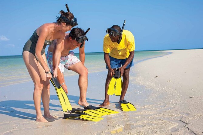 Luxury Swimming with DOLPHINS IN MNEMBA and LUNCH - Snorkeling equipment and time on the sea