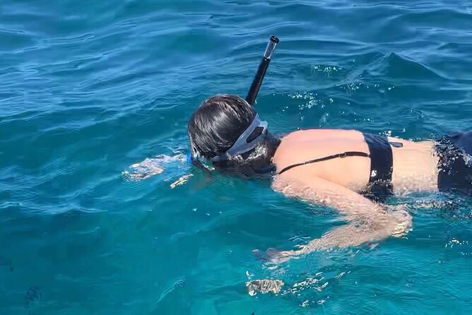 Luxury Swimming with DOLPHINS IN MNEMBA and LUNCH - The Mnemba sandbank and tropical fruit stop